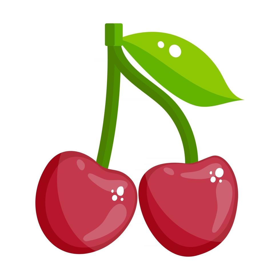 Red Cherries Fruit vector