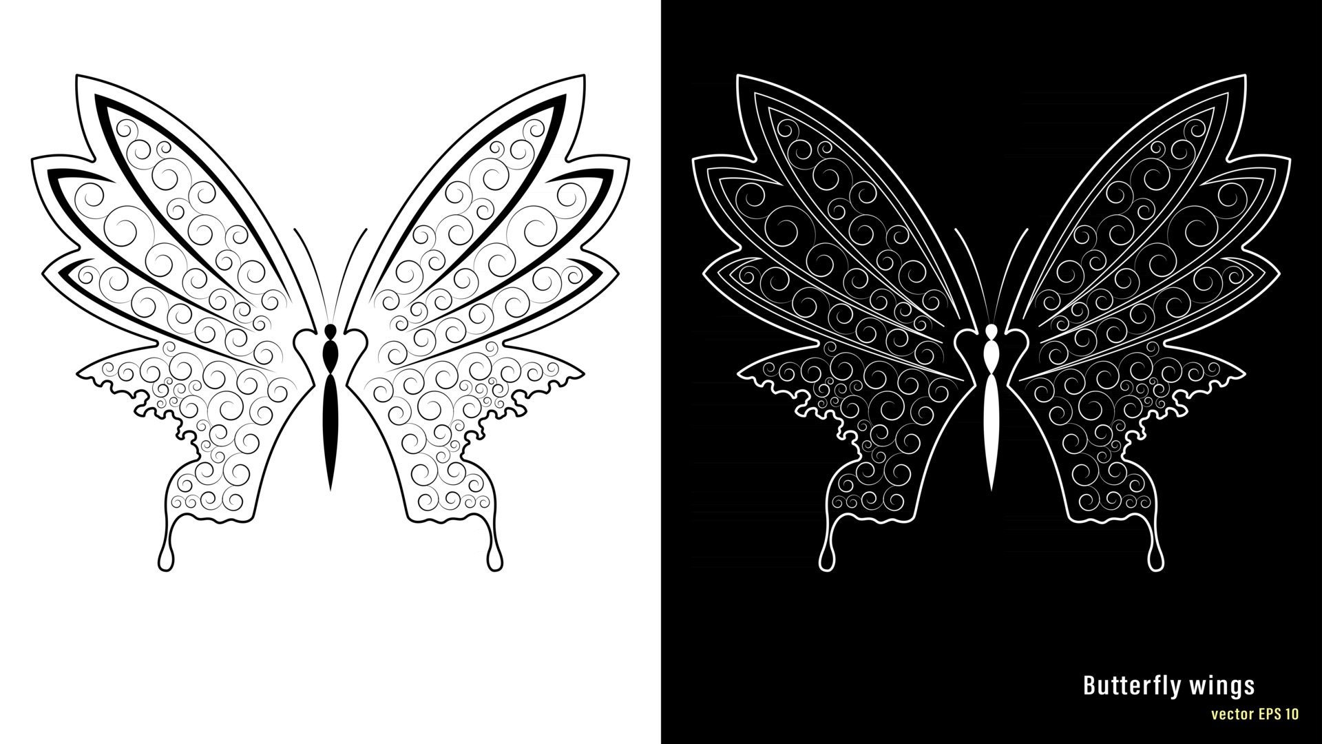 Butterfly wings png images | Klipartz