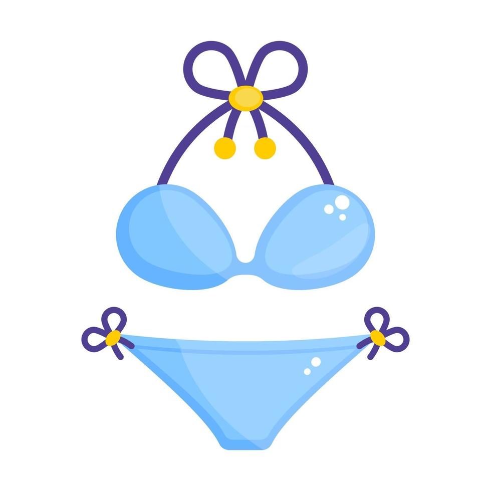 Bikini women clothes vector