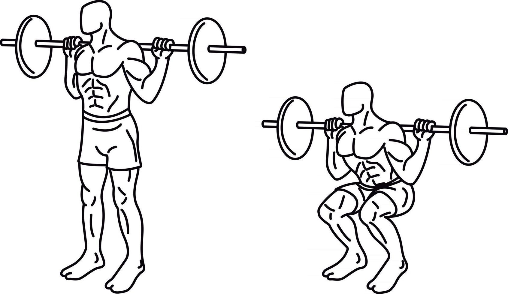Squat Exercises and training with weights vector