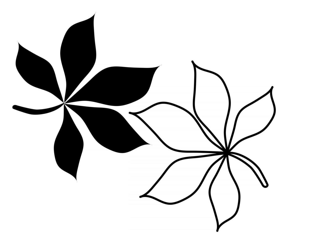 outline and silhouette of a leaf of a chestnut tree vector