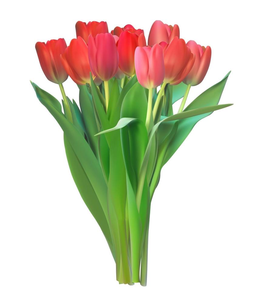 Realistic Vector Illustration Colorful Tulips. Red Flowers on Light Background