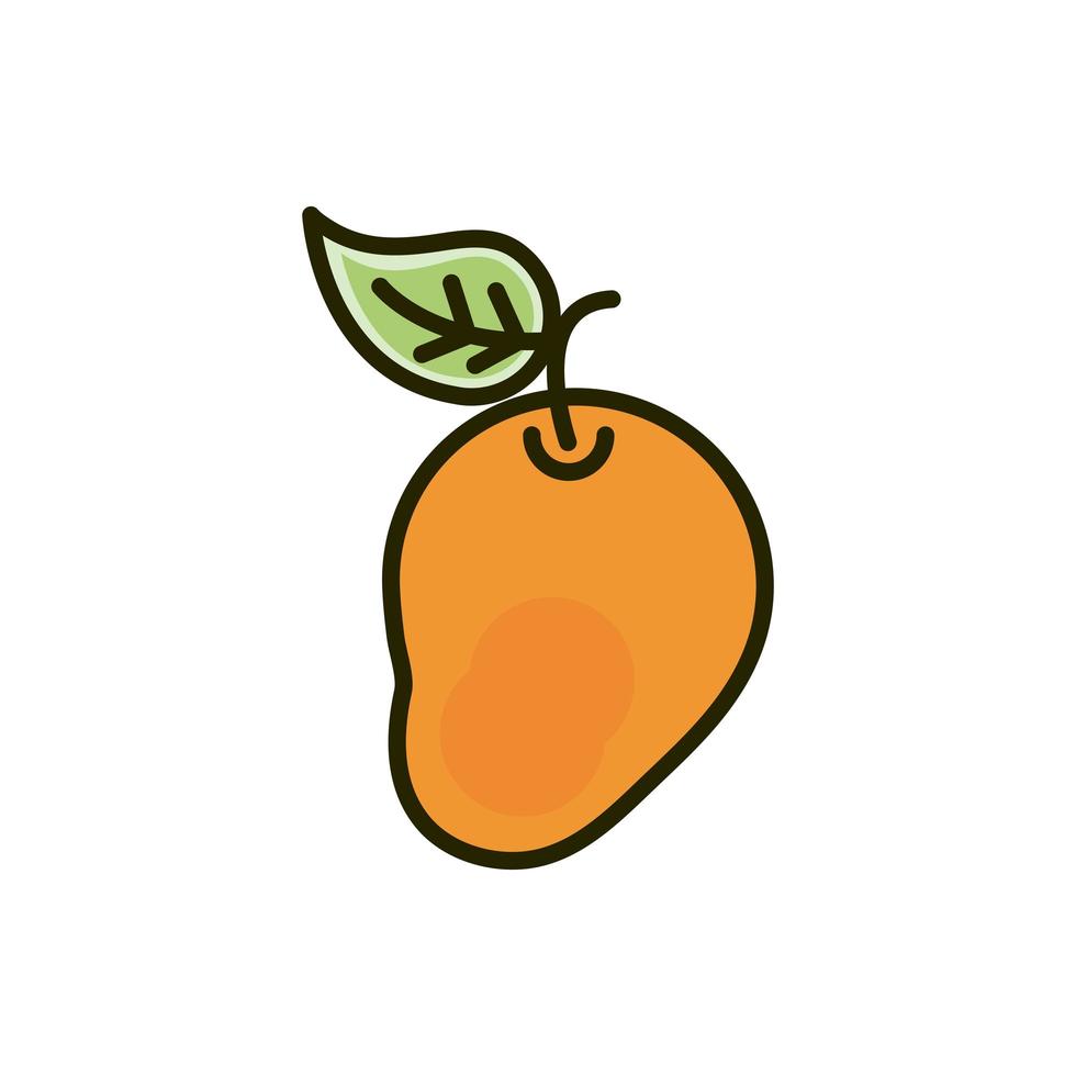 fruta fresca mango cosecha naturaleza dibujo vector
