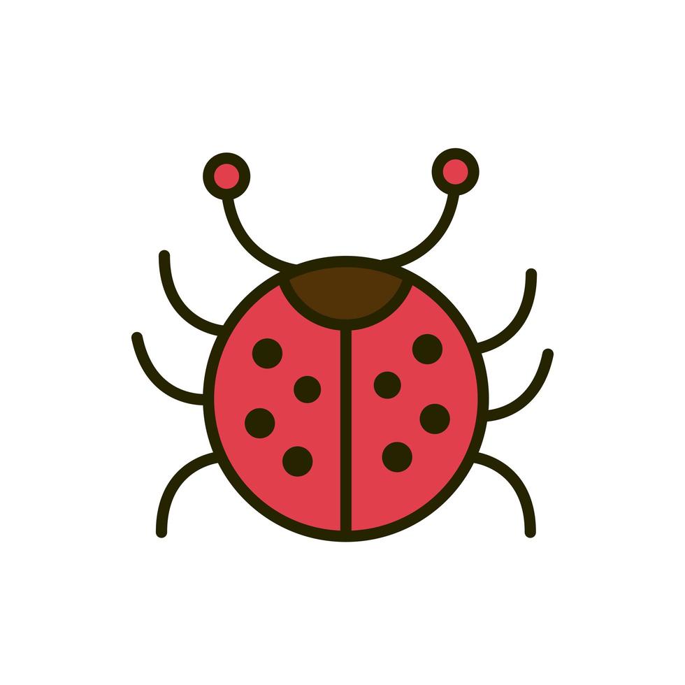 ladybug insect wildlife nature drawing vector