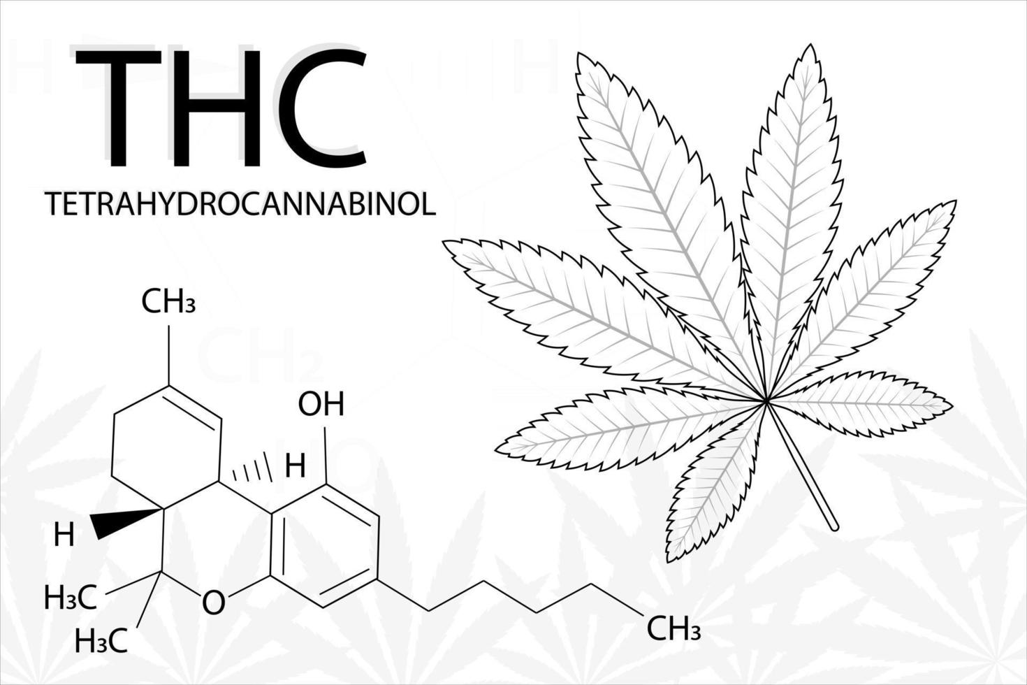 Cannabis leaf of Indica with formula tetrahydrocannabinol vector