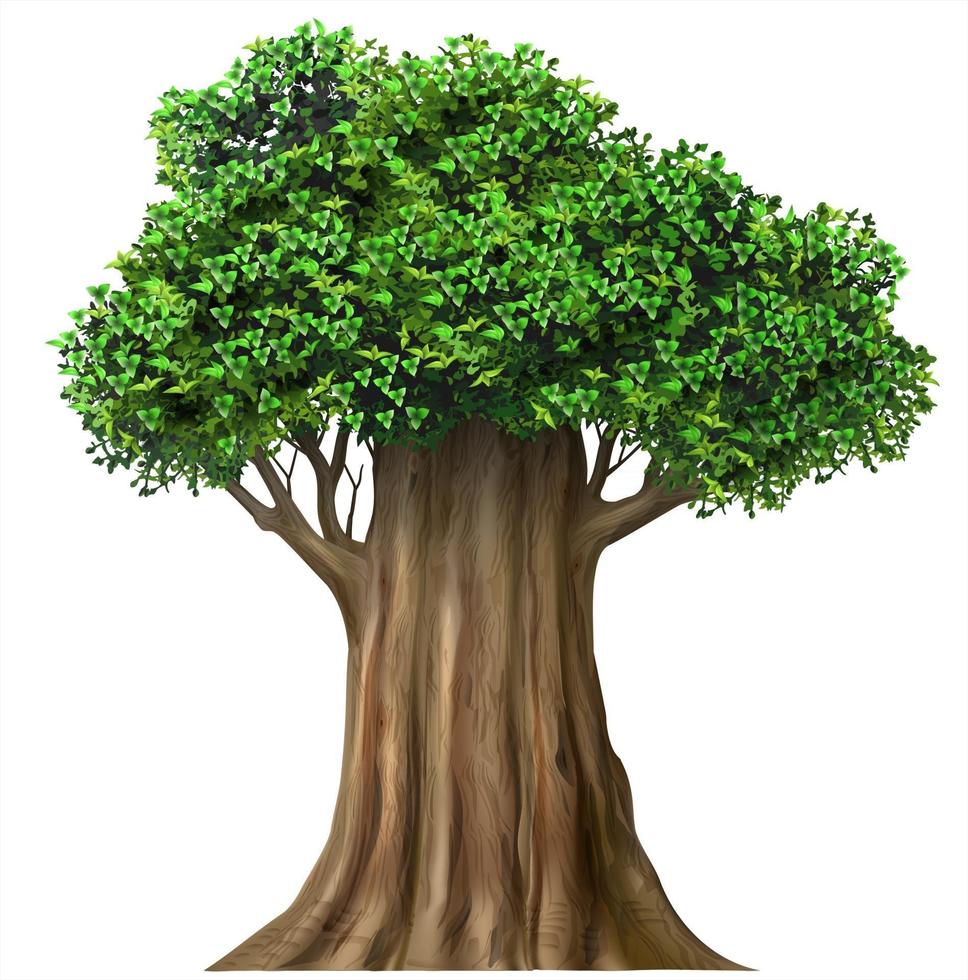 Realistic fairy old oak tree in vector