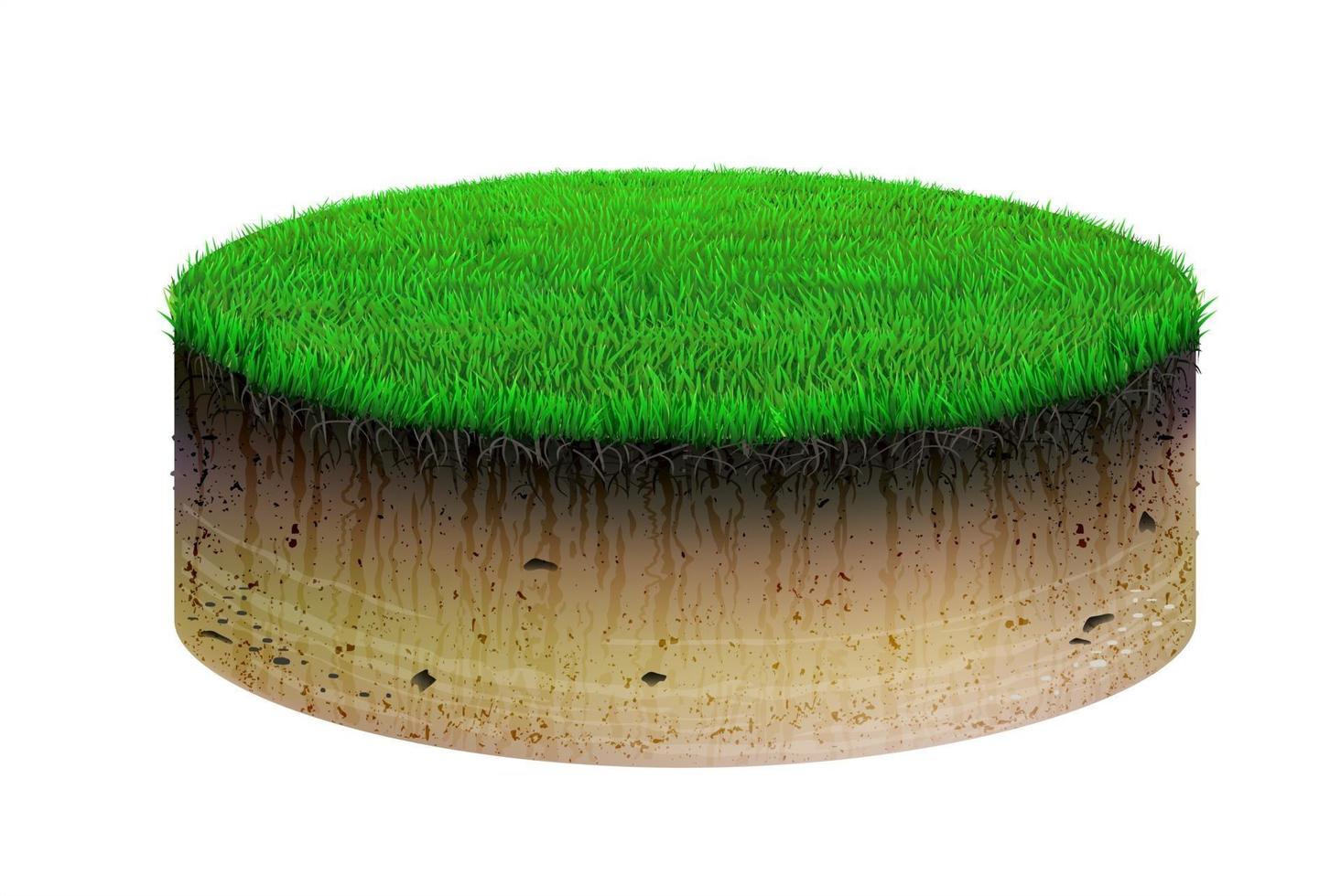 Oval shaped soil cut and grass vector