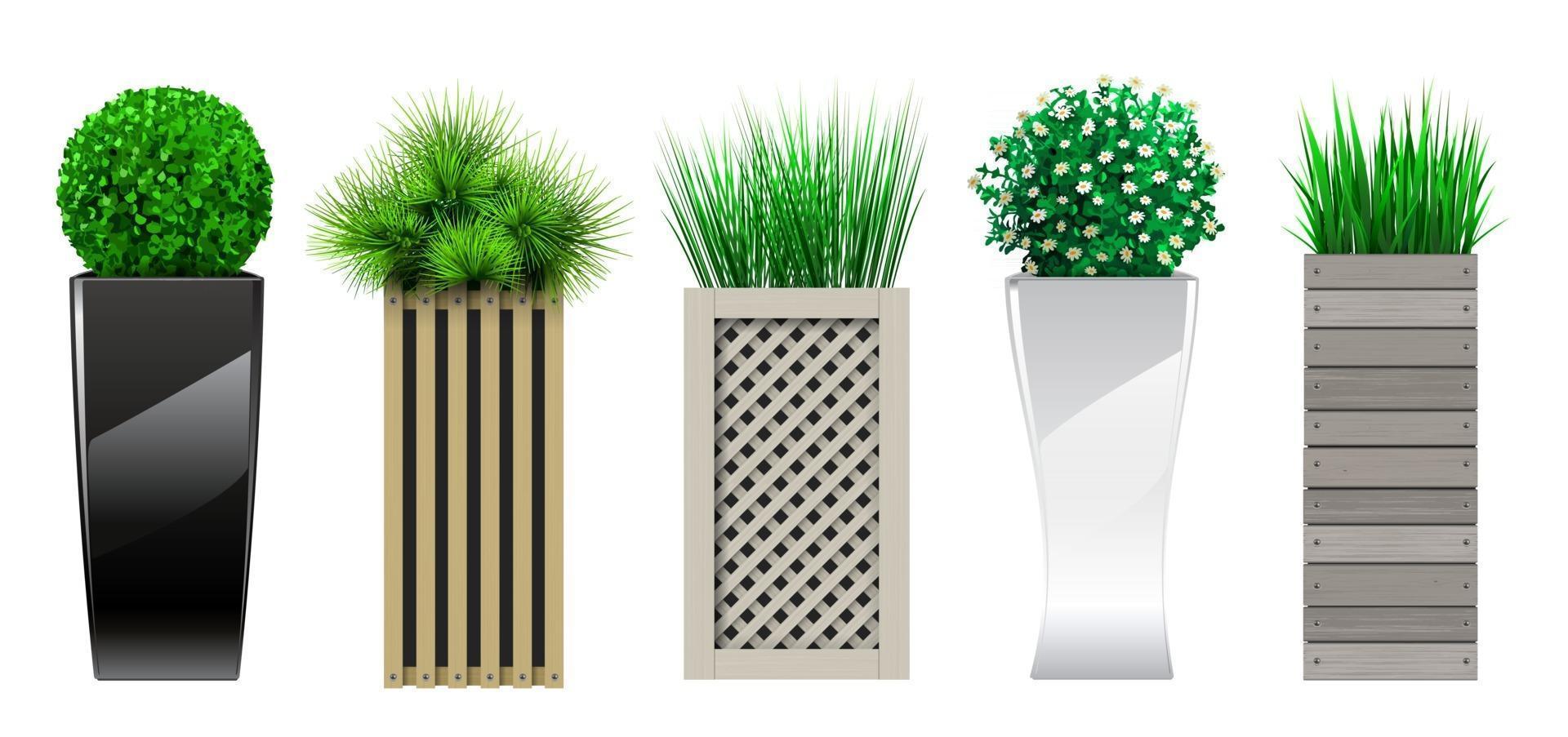 Set of planters vector