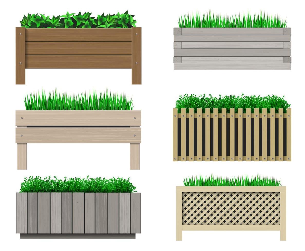 Set of planters vector