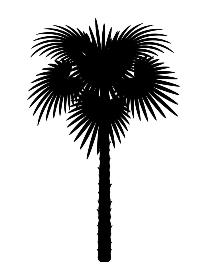 palm tree and accessories for rest stock vector illustration isolated on white background