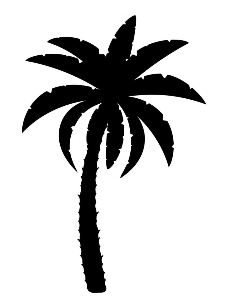 palm tree and accessories for rest stock vector illustration isolated on white background