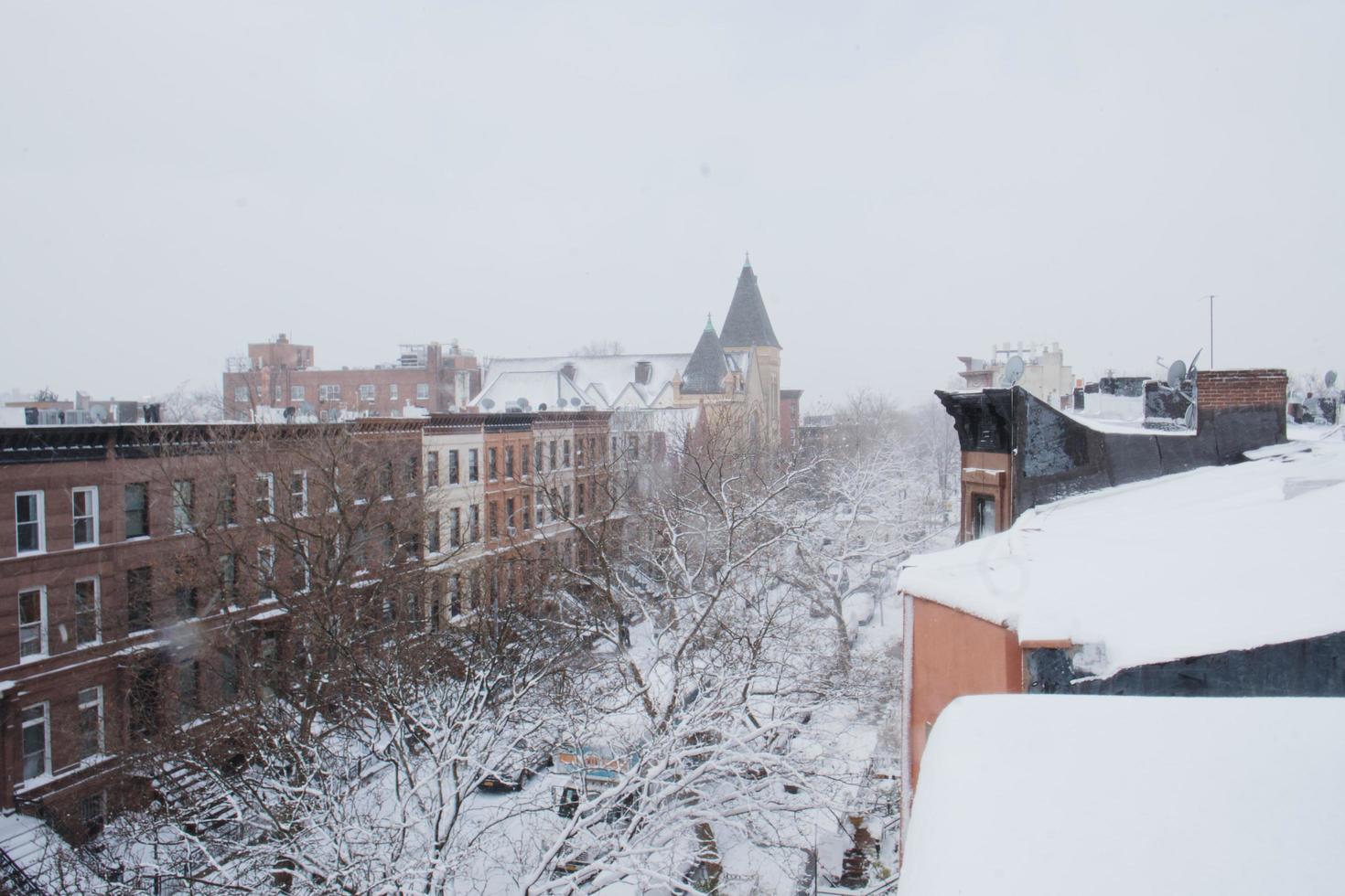 Snow in Brooklyn photo