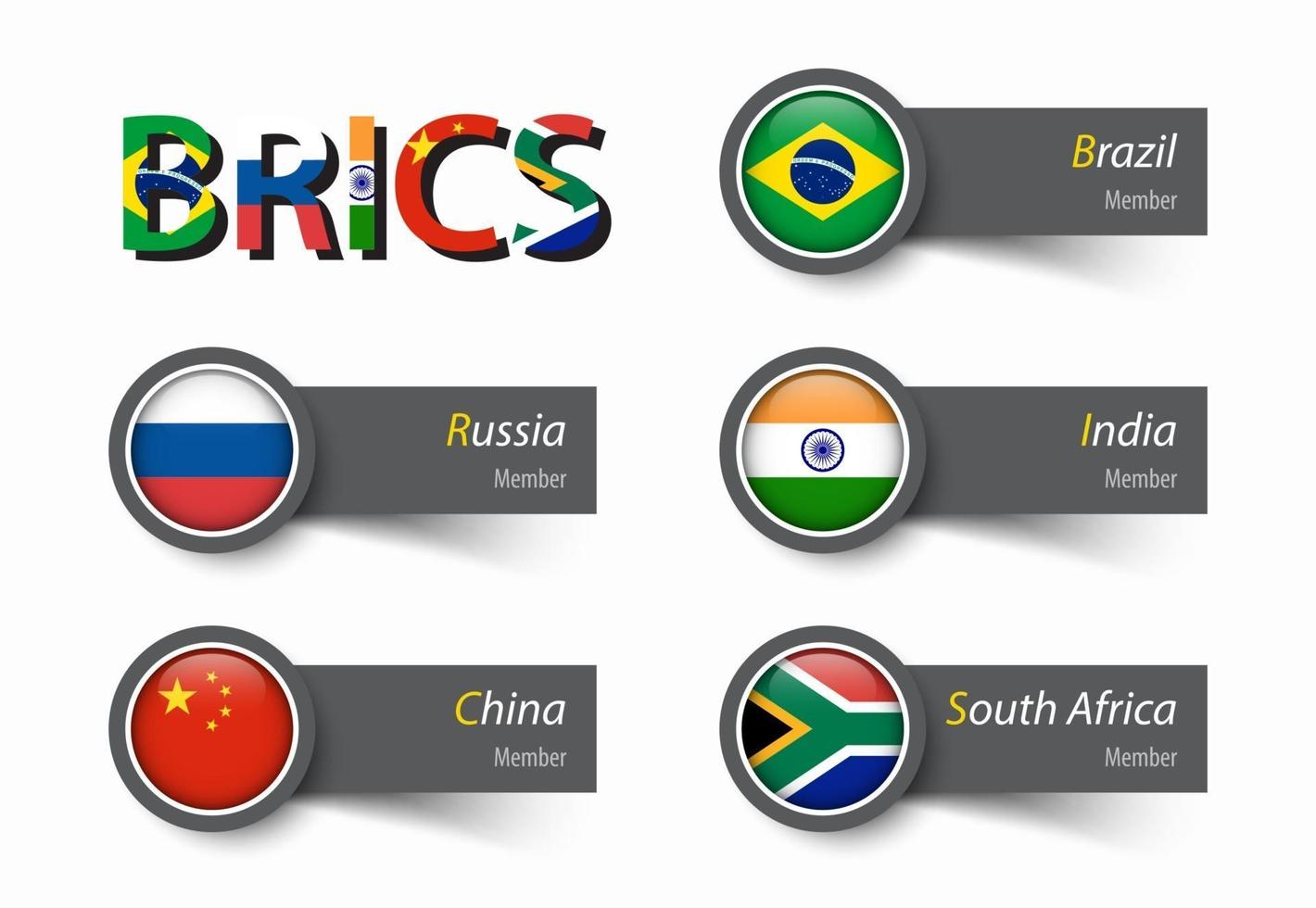 BRICS  association of 5 countries vector