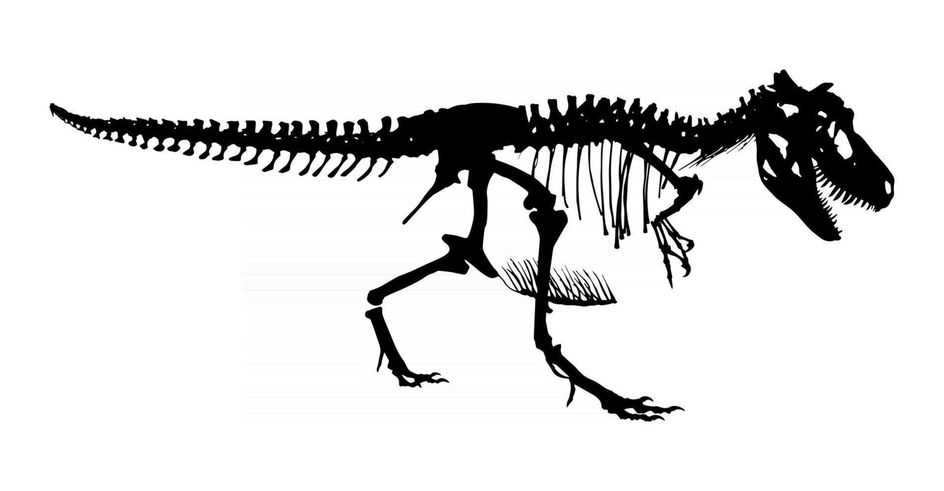 tiranosaurio rex esqueleto silueta vector vista lateral