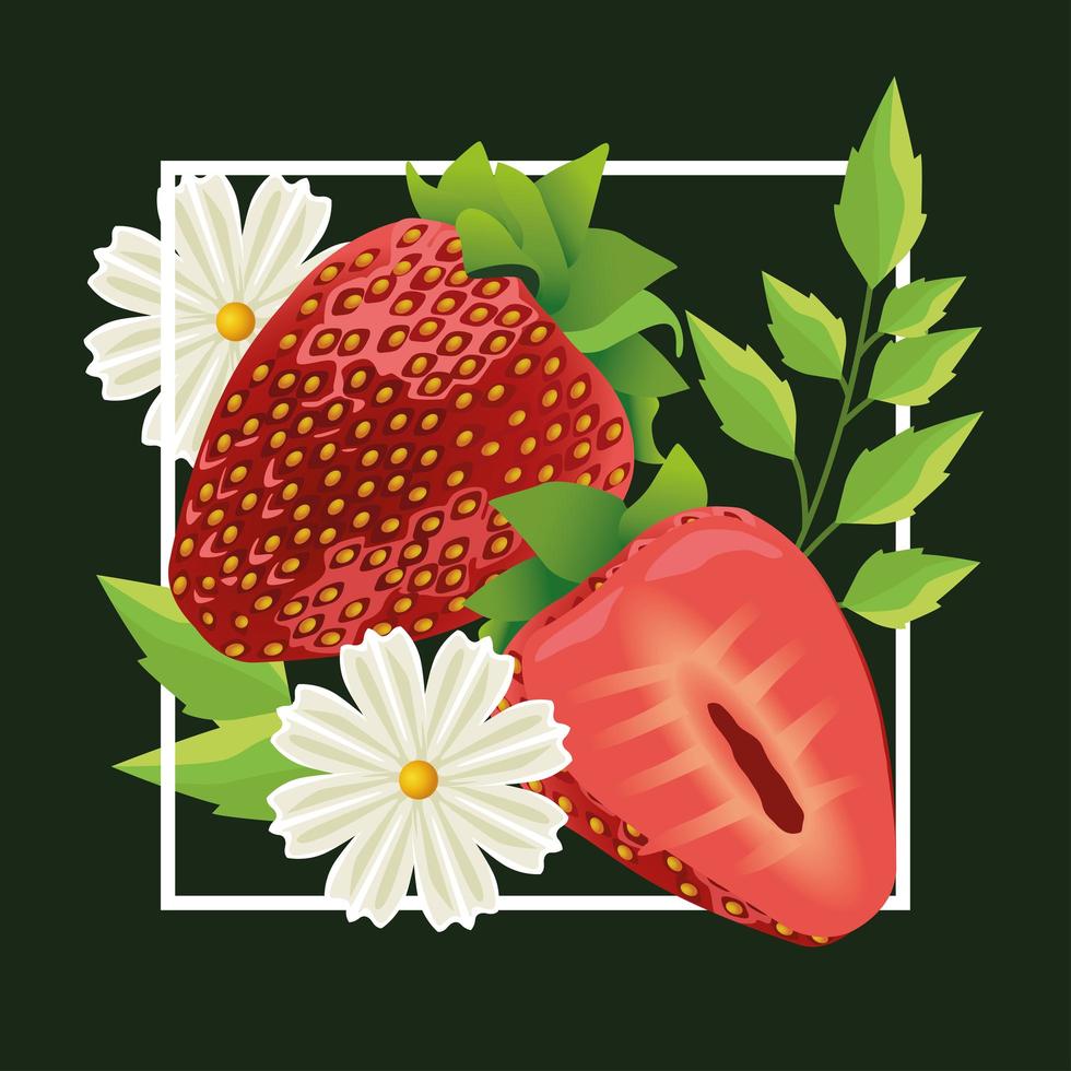 floral background with strawberries and flowers vector