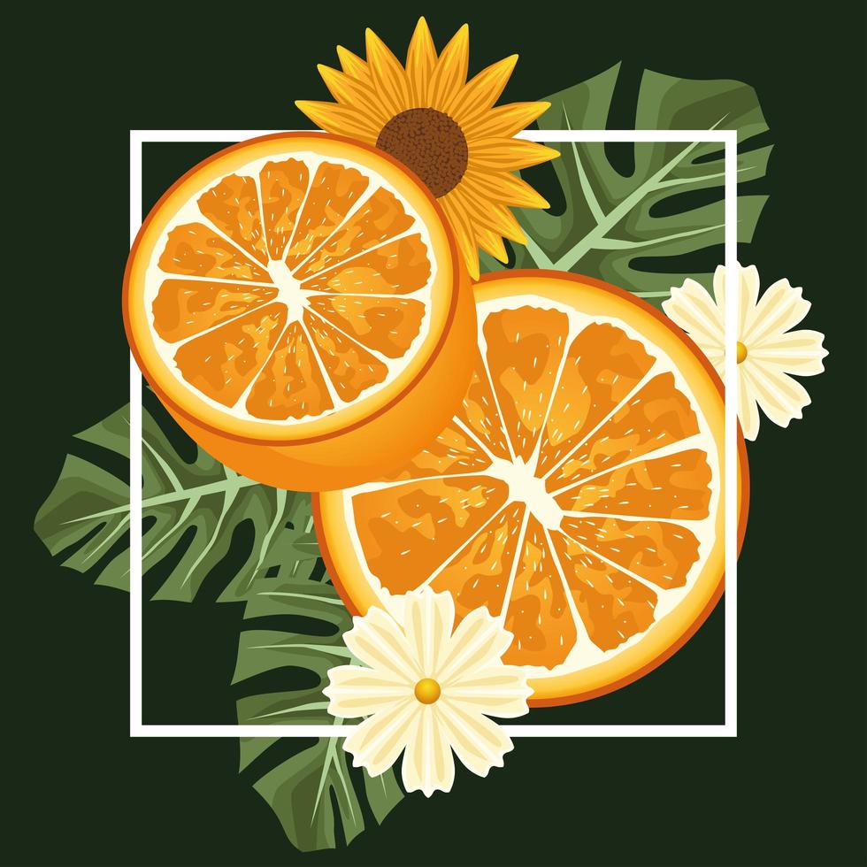 floral background with oranges and flowers in square frame vector