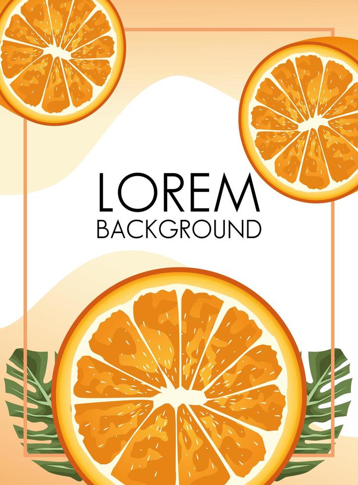 oranges citrus fruits decorative poster with leafs frame vector