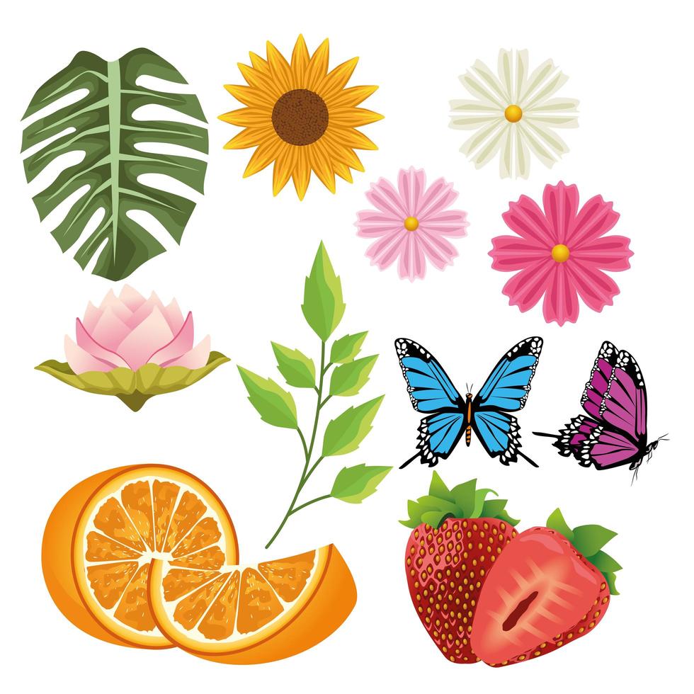 paquete de flores y frutas con mariposas vector