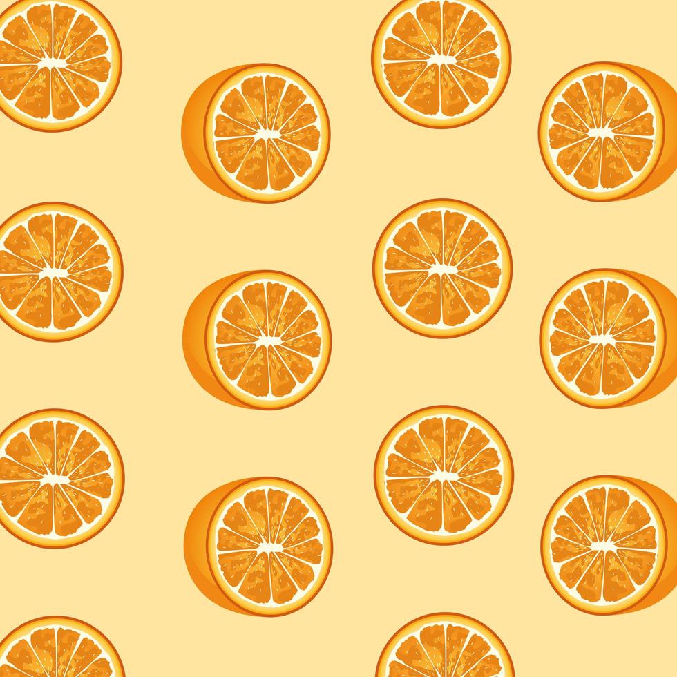 oranges citrus fruits decorative pattern vector