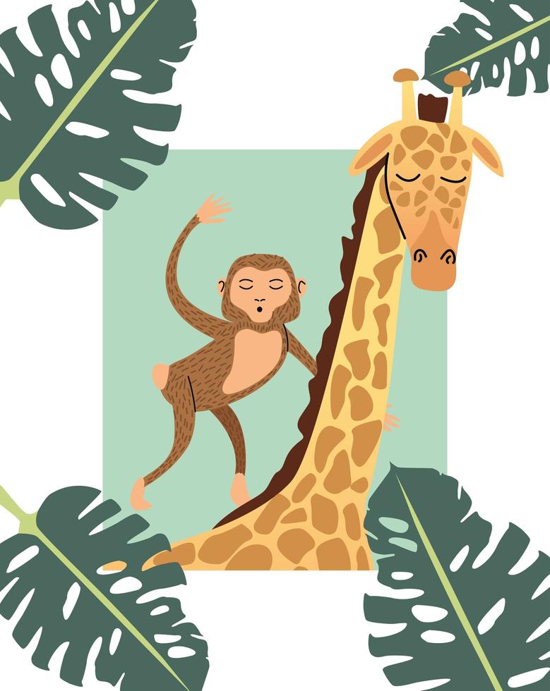 monkey and giraffe animal wild with leafs vector