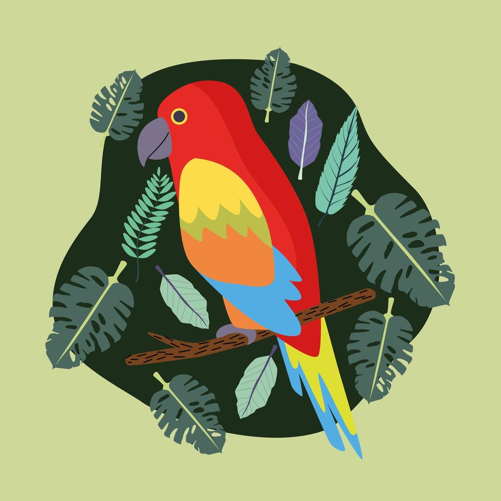 beautiful parrot bird exotic scene vector