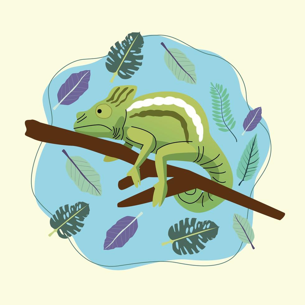 wild chameleon animal nature scene vector