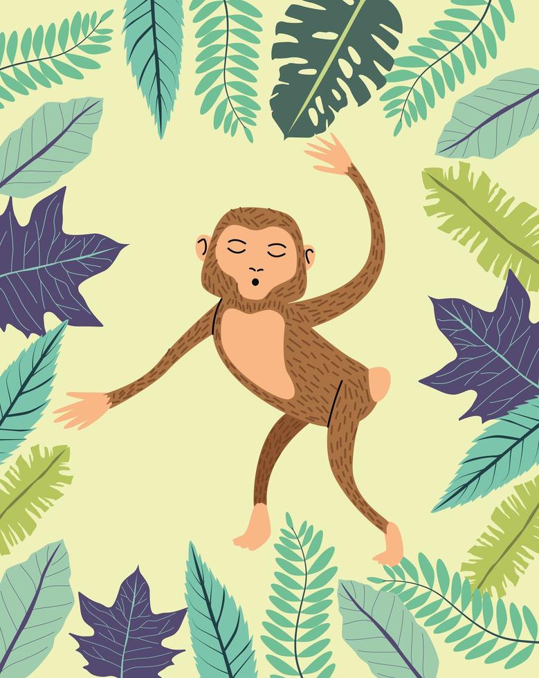 monkey animal wild in the jungle vector