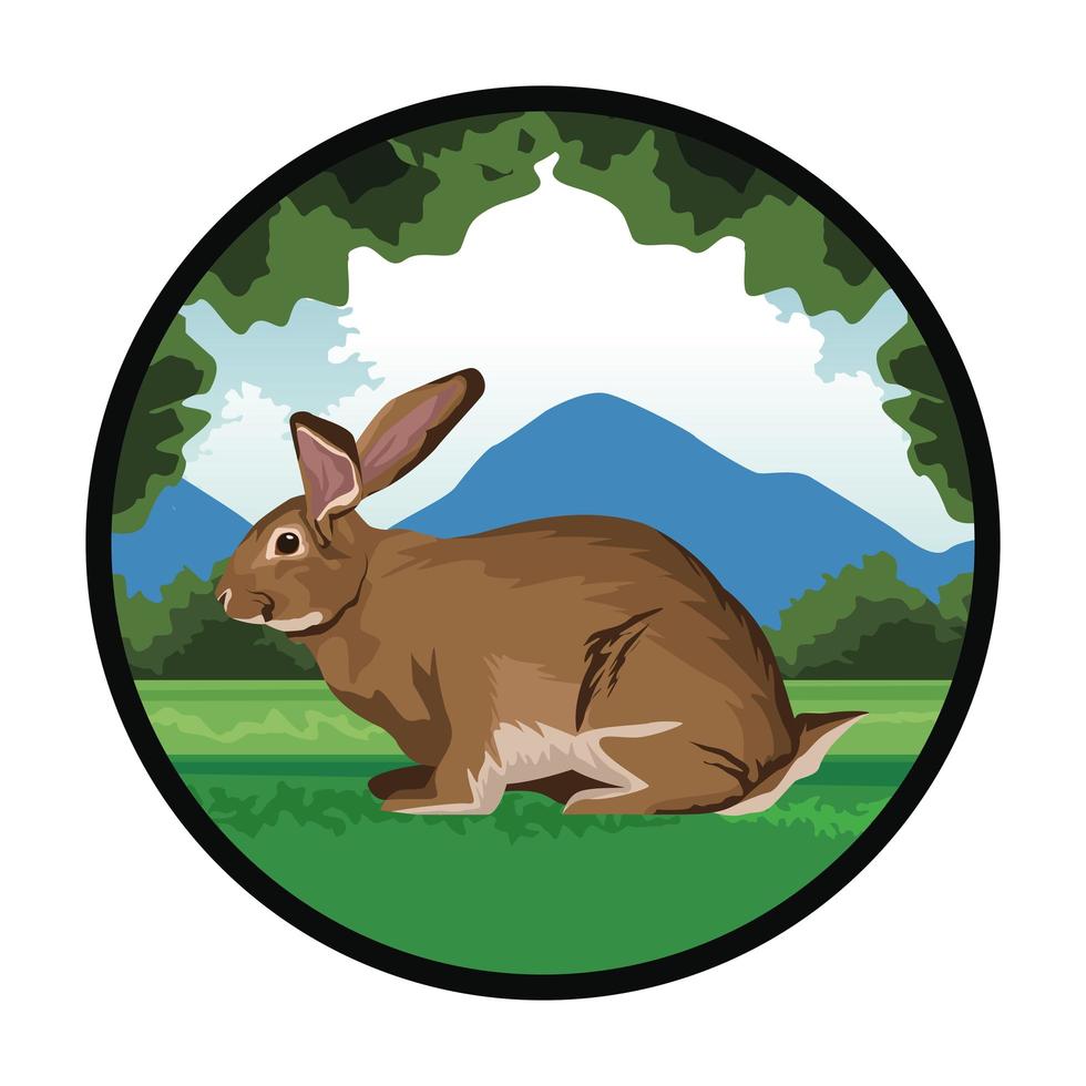 cute rabbit in the landscape vector