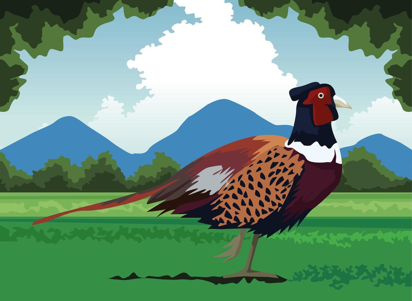 wild pheasant bird farm in the landscape scene vector