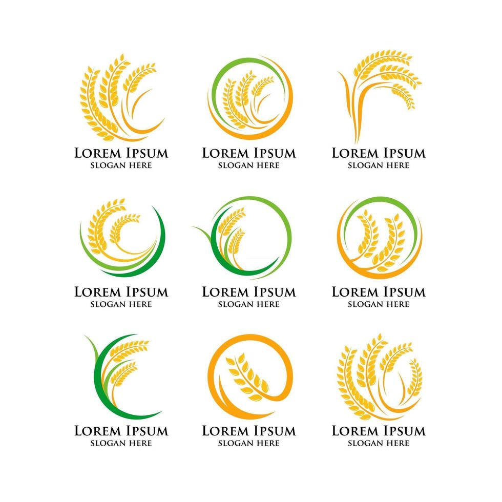 icono de vector de plantilla de logotipo de arroz de trigo