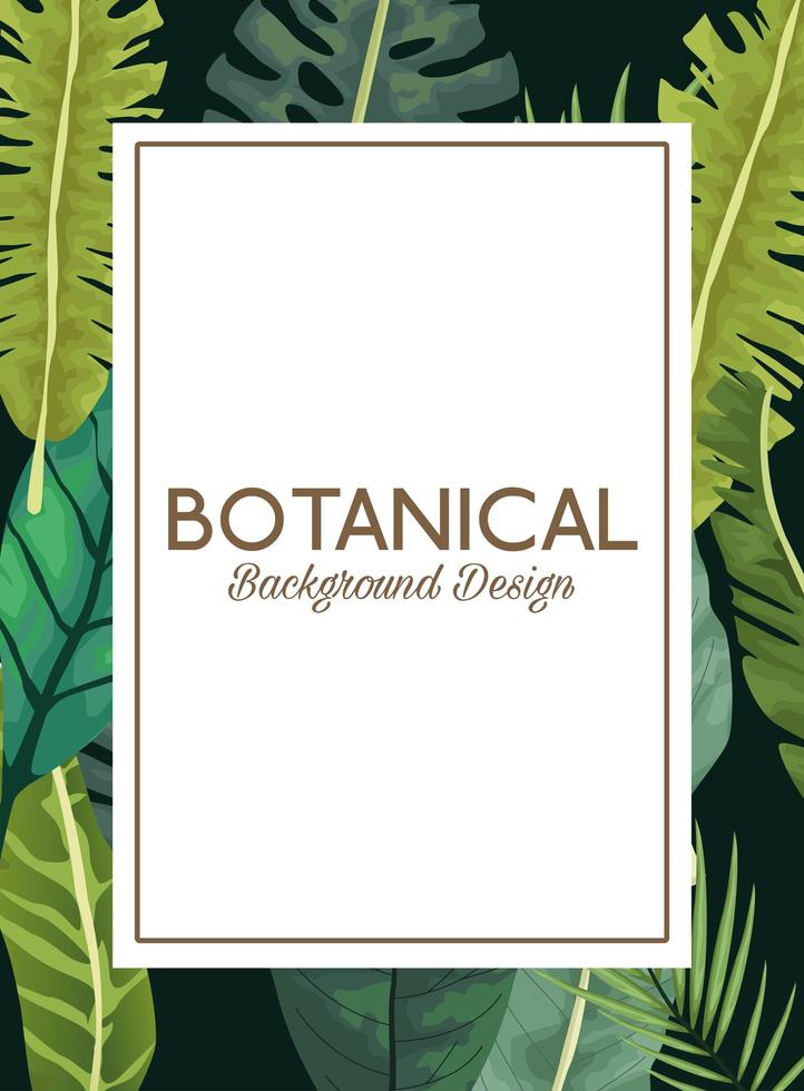 hojas tropicales en marco cuadrado y diseño de fondo botánico de letras vector