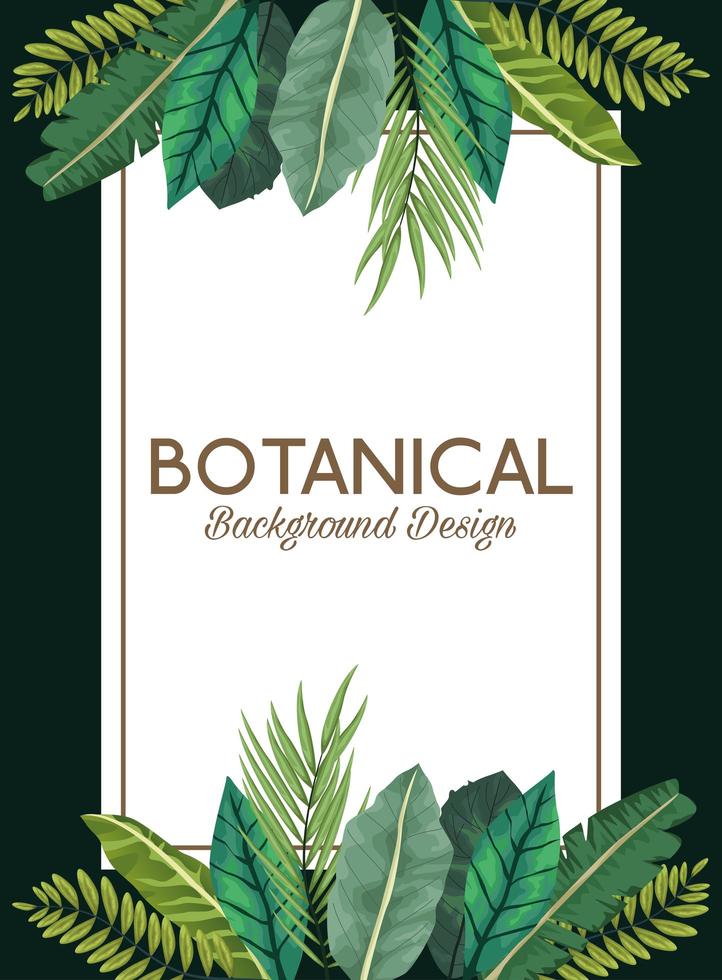 tropical leafs in square frame and lettering botanical background design vector