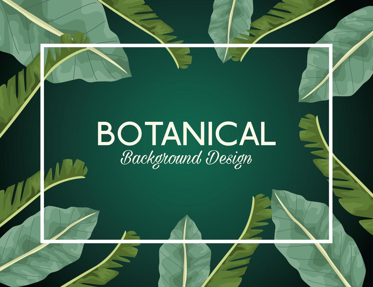 hojas tropicales en marco cuadrado y diseño de fondo botánico de letras vector