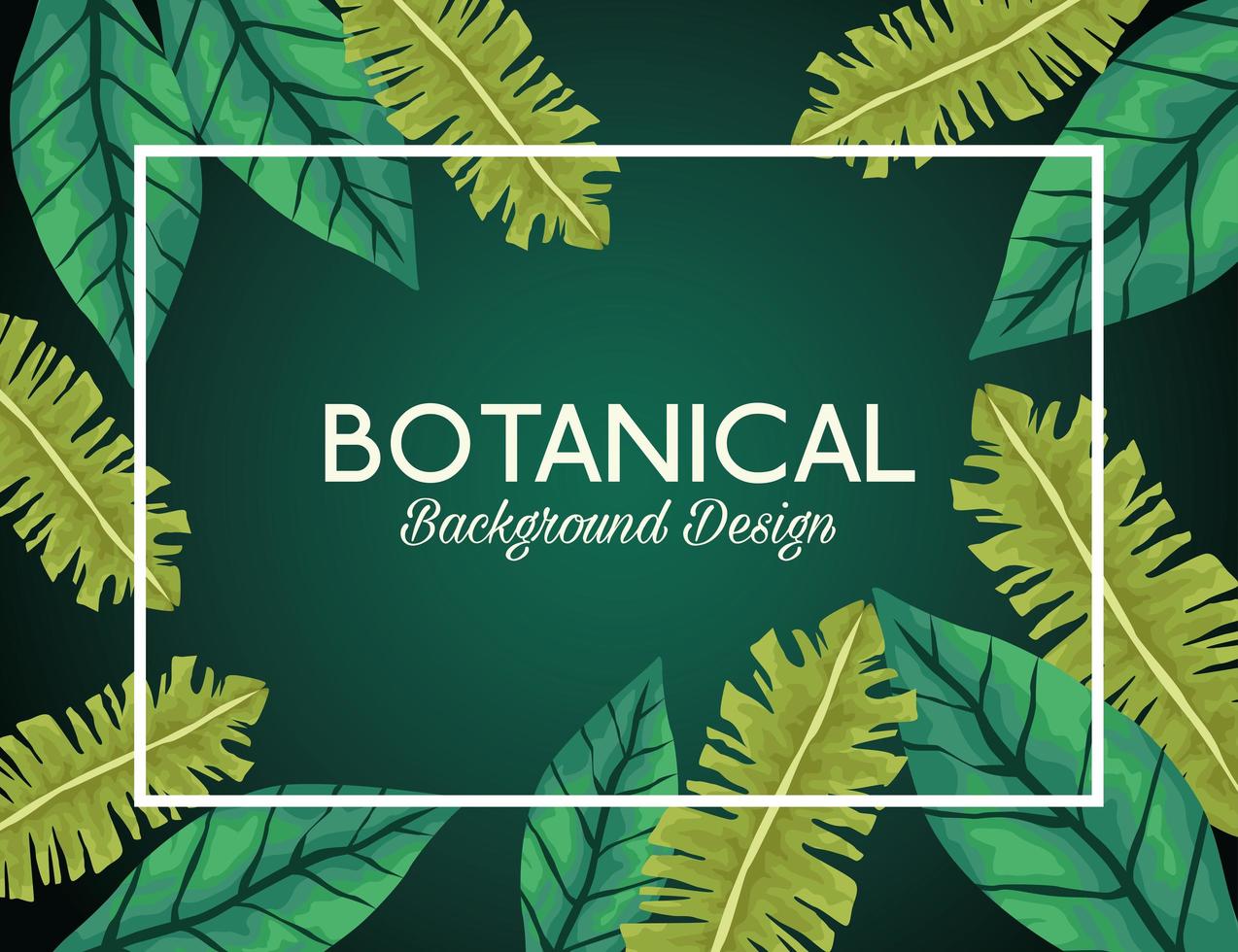 tropical leafs in square frame and lettering botanical background design vector