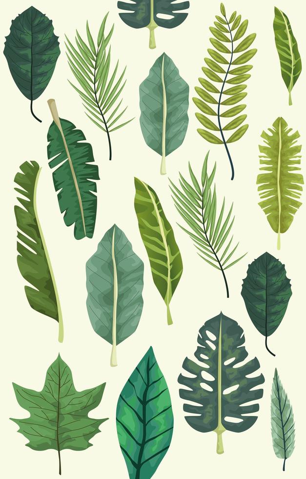 tropical leafs botanical background design vector