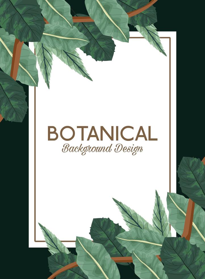 tropical leafs in square frame and lettering botanical background design vector