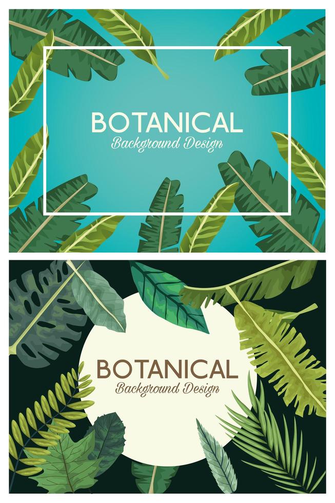 hojas tropicales en marcos y leyendas diseños de fondos botánicos vector