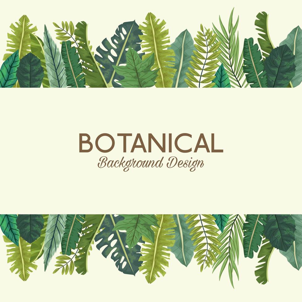 tropical leafs and lettering botanical background design vector
