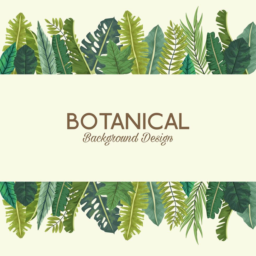 hojas tropicales y diseño de fondo botánico de letras vector