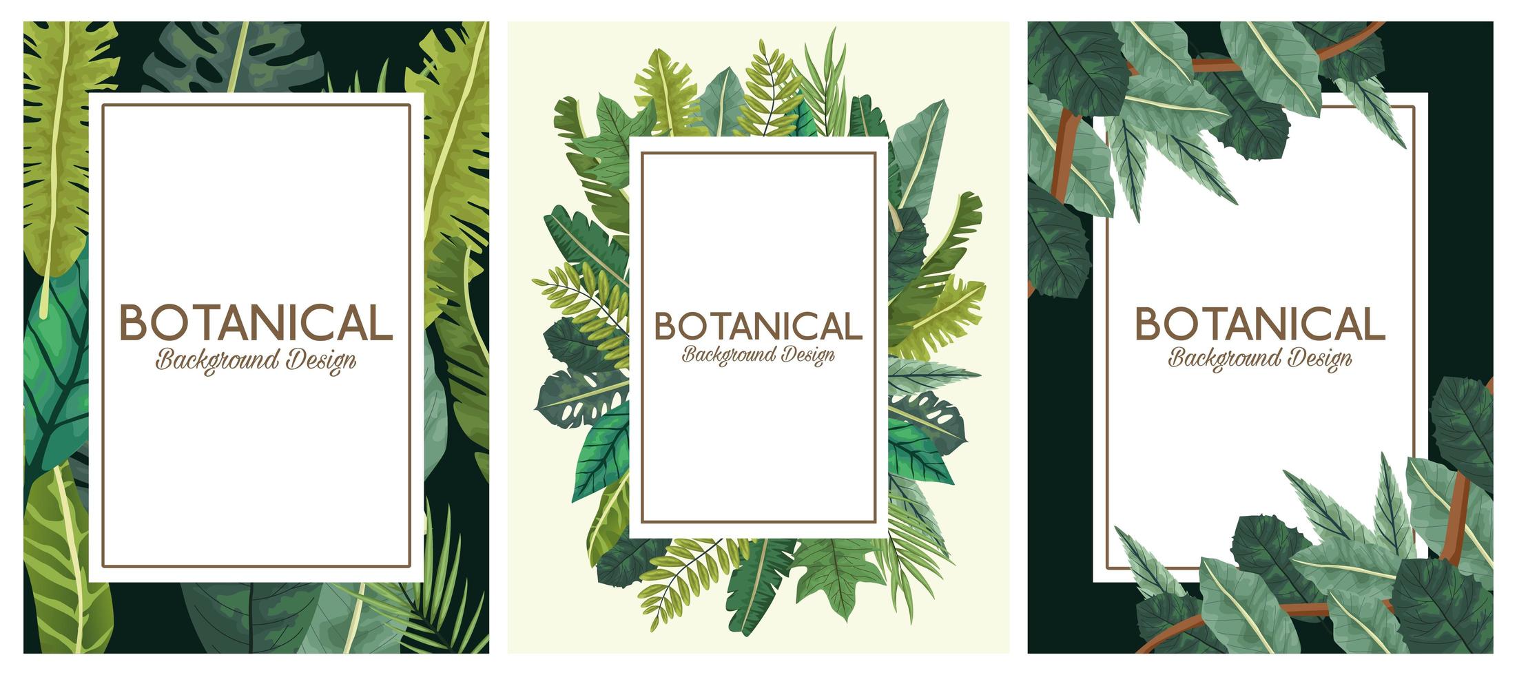 hojas tropicales en marcos y leyendas diseños de fondos botánicos vector