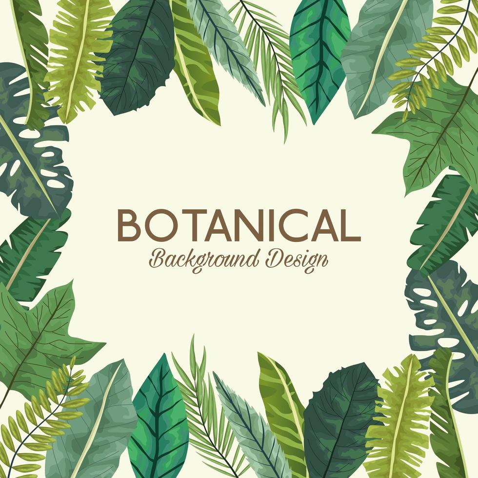 tropical leafs in square frame and lettering botanical background design vector