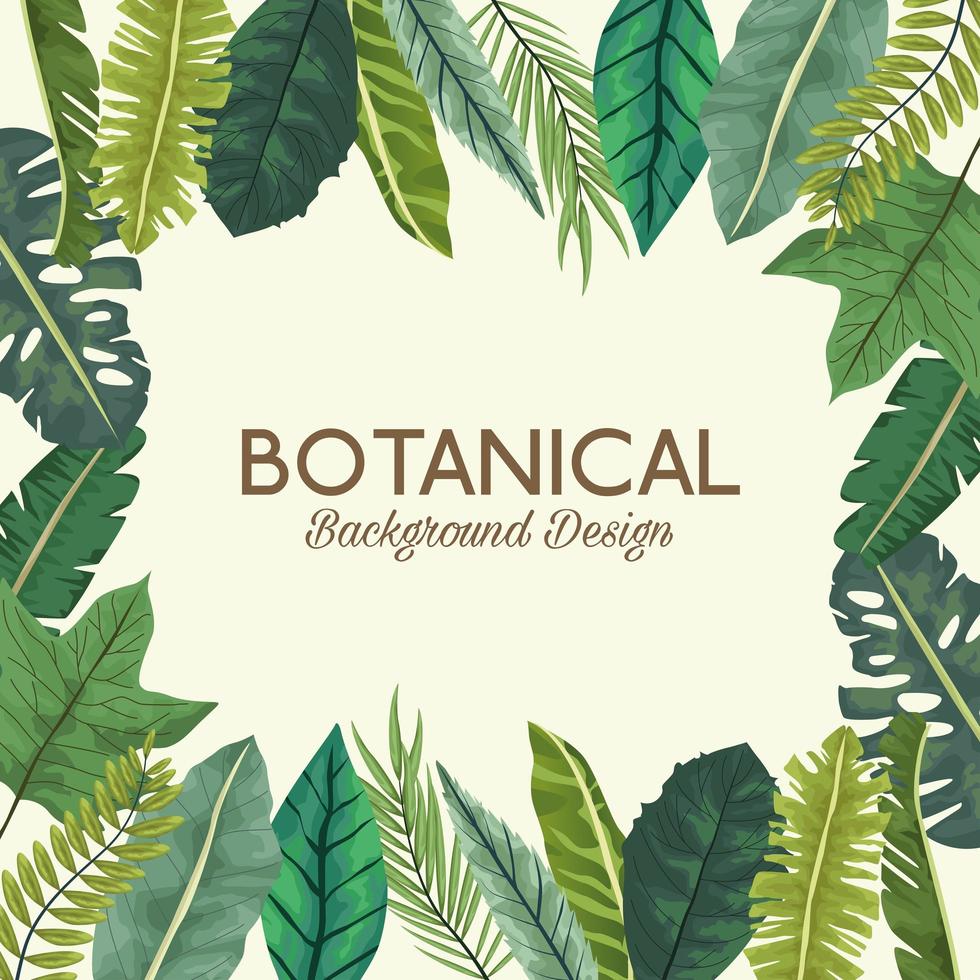 hojas tropicales en marco cuadrado y diseño de fondo botánico de letras vector