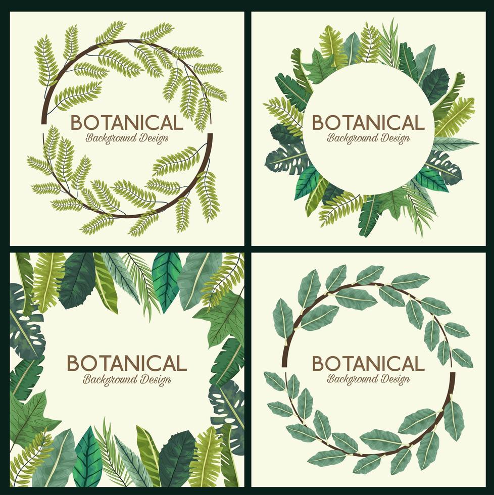 hojas tropicales en marcos y leyendas diseños de fondos botánicos vector