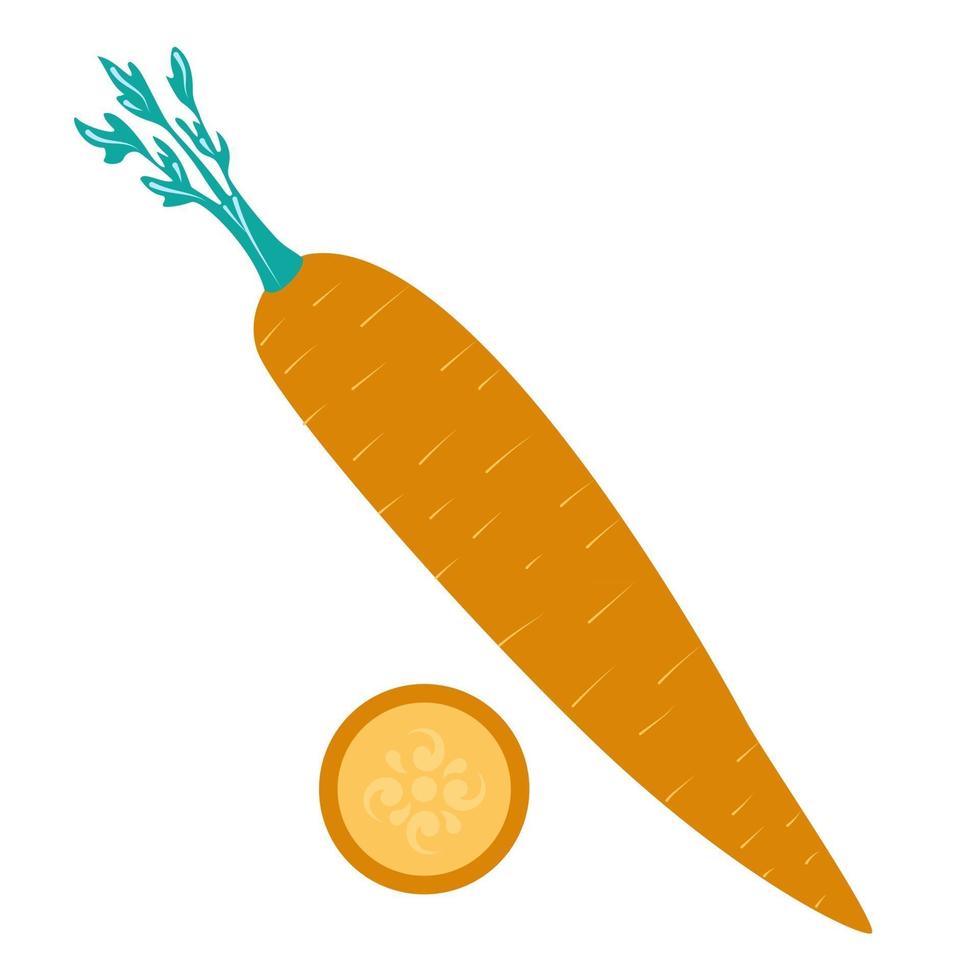 Carrot and slice Flat vector isolated illustration of farm vegetable