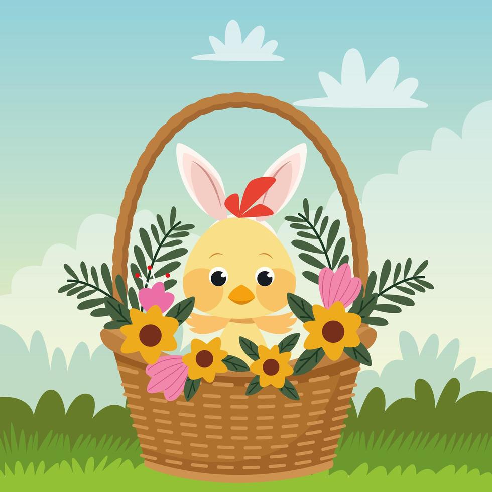 happy easter card with little chick and ears rabbit in basket vector