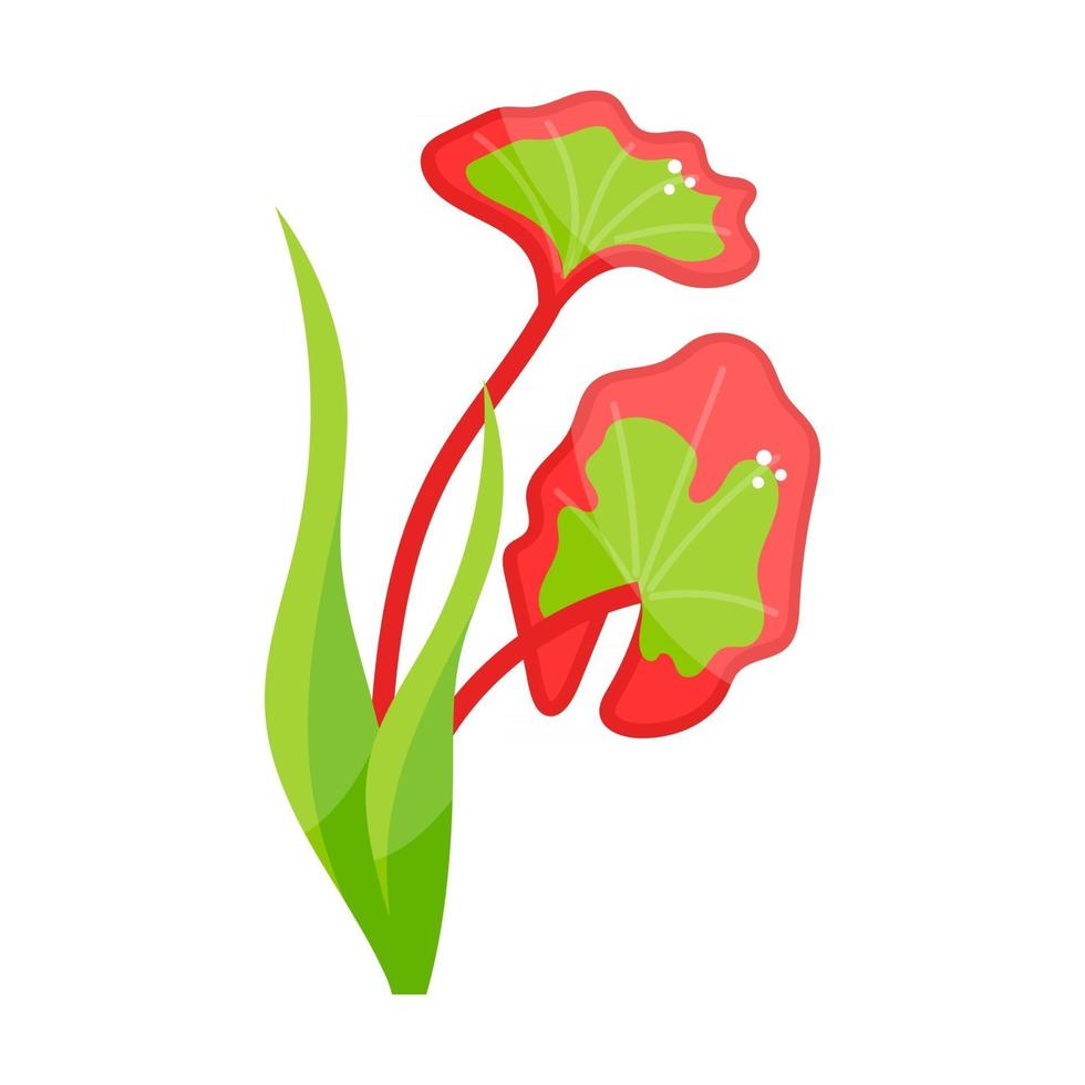 Beautiful Underwater Flowers vector