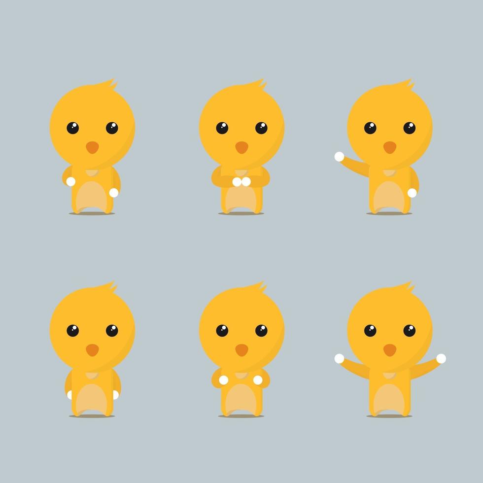 chick collection set vector