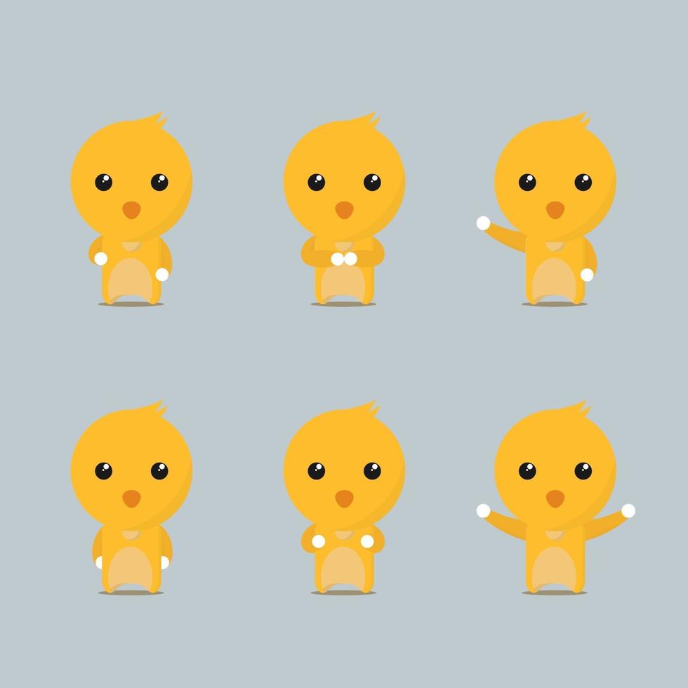 chick collection set vector