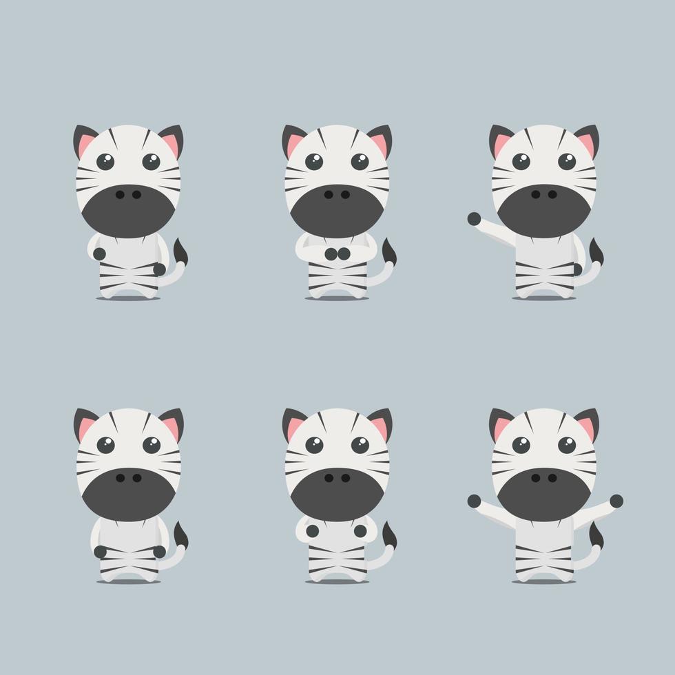cute zebra collection set vector
