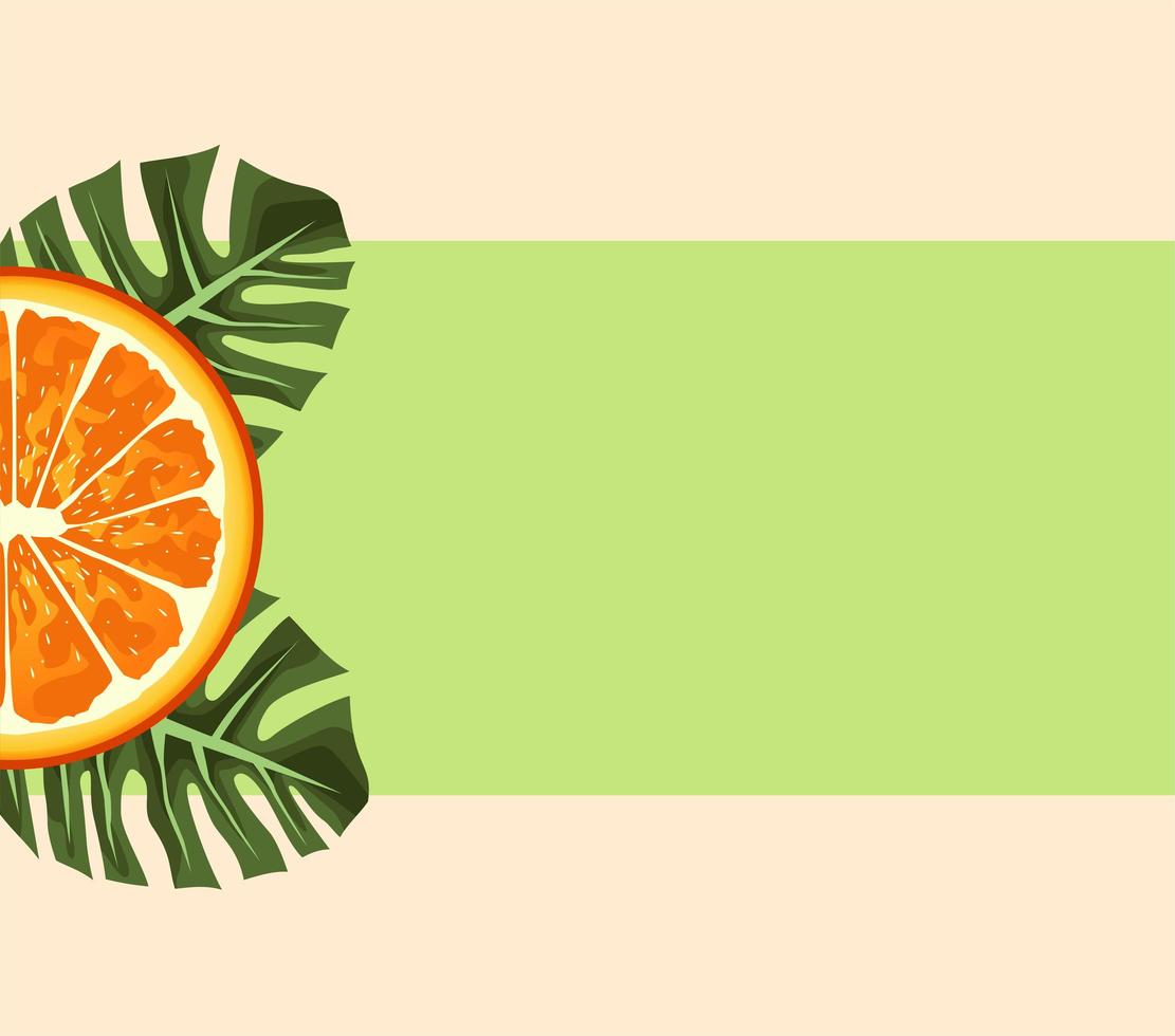 Cartel de cítricos con mitad naranja y hojas. vector